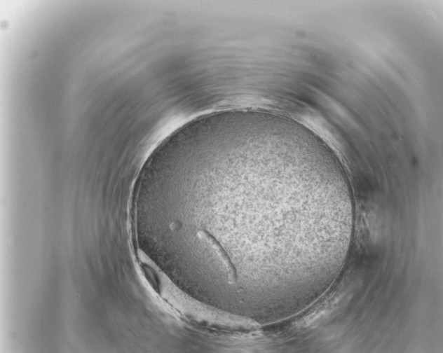 X0000086981055200704231814