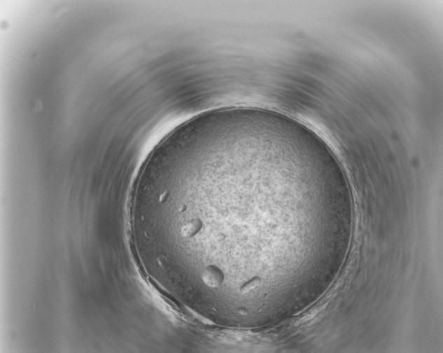 X0000086981056200704231815