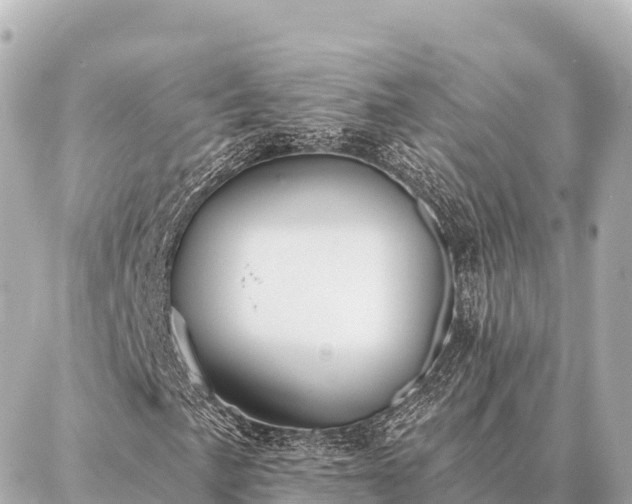 X0000086981057200704231814