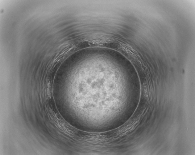 X0000086981060200704231814