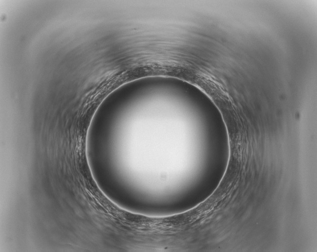 X0000086981061200704231814