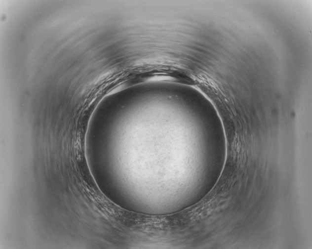 X0000086981062200704231814