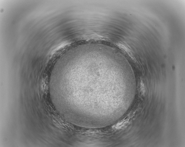 X0000086981063200704231814