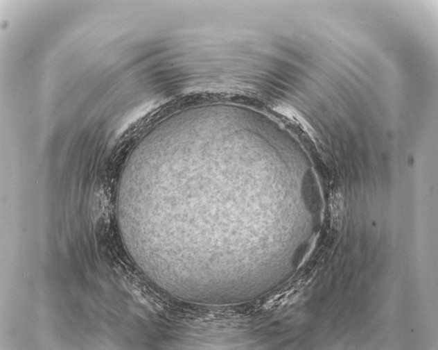 X0000086981064200704231814