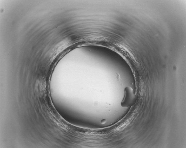 X0000086981065200704231814