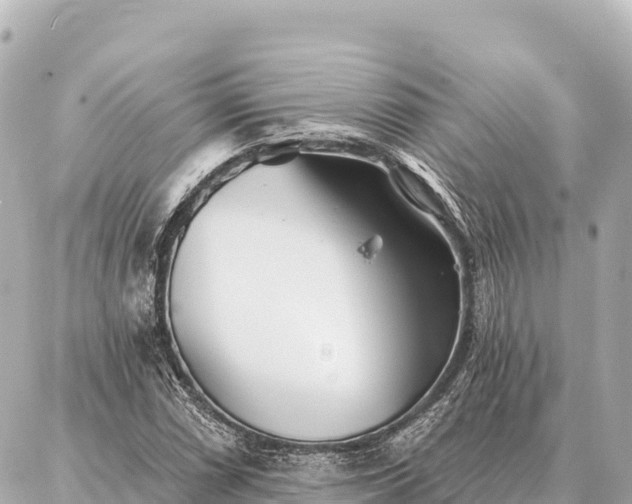 X0000086981066200704231814