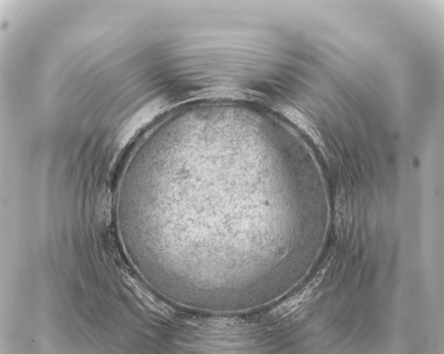 X0000086981067200704231814