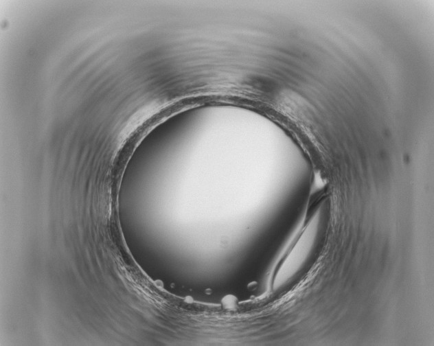 X0000086981069200704231814