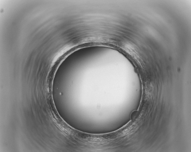 X0000086981070200704231814