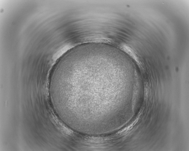 X0000086981071200704231814