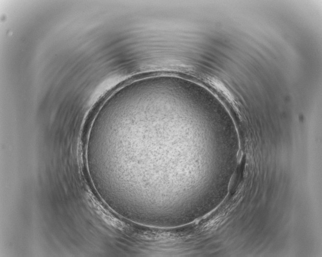 X0000086981072200704231813