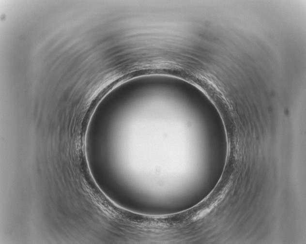 X0000086981073200704231813