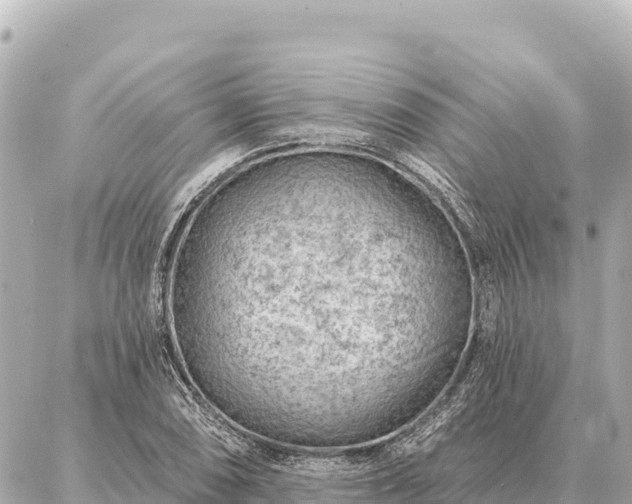 X0000086981074200704231813