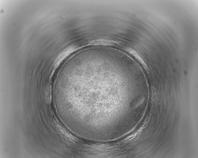 X0000086981075200704231813