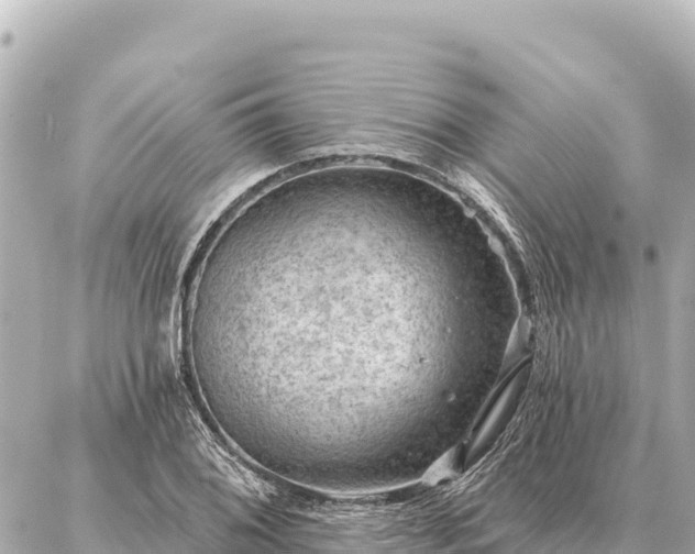 X0000086981076200704231813