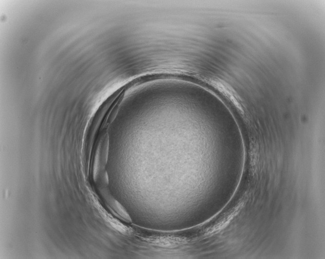 X0000086981077200704231813