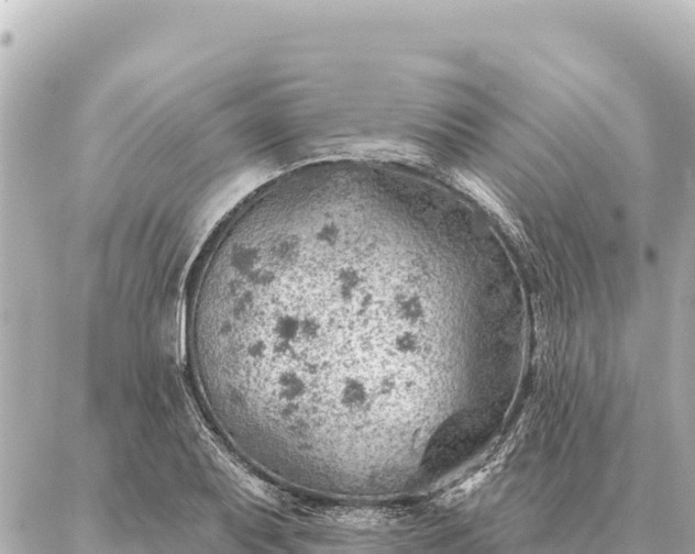 X0000086981079200704231813