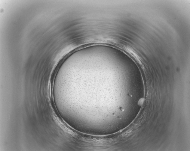 X0000086981080200704231813