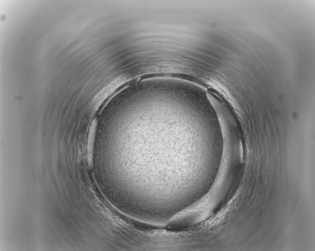 X0000086981081200704231813