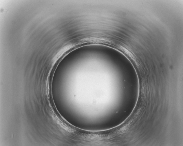 X0000086981082200704231813