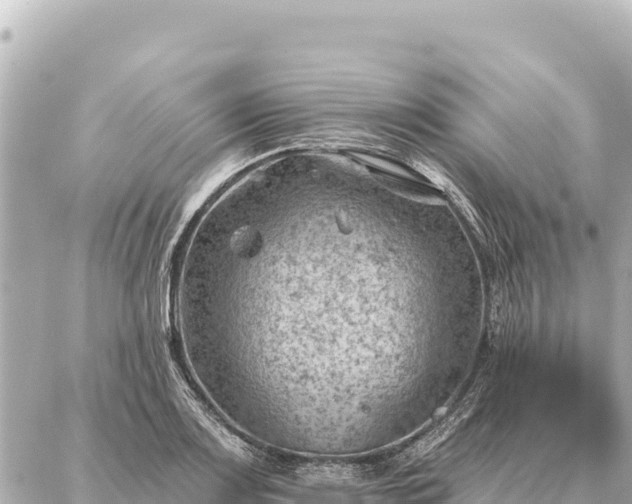 X0000086981083200704231813