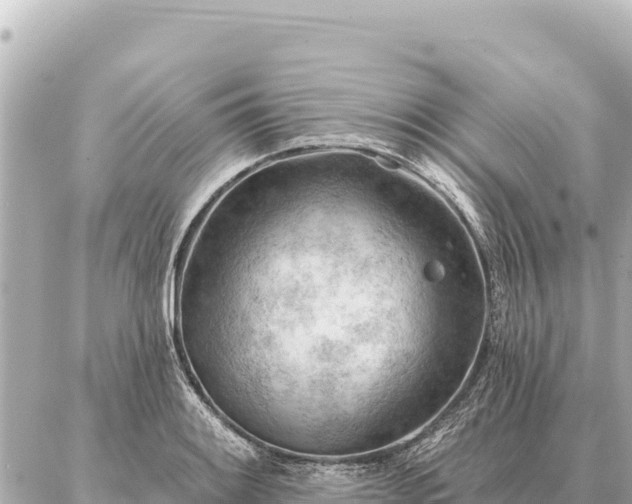 X0000086981084200704231813