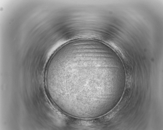 X0000086981086200704231813