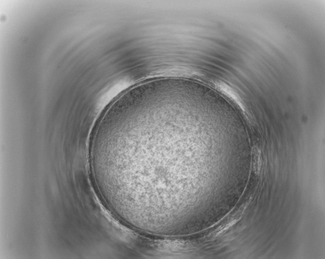 X0000086981087200704231813