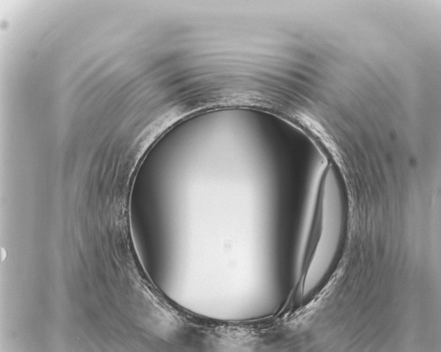 X0000086981089200704231813