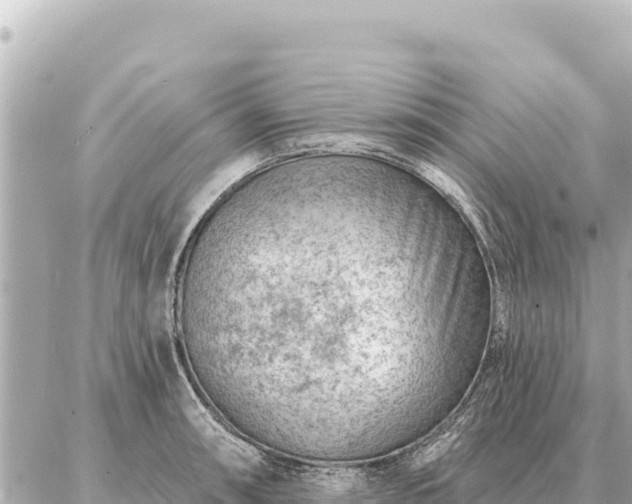 X0000086981090200704231813