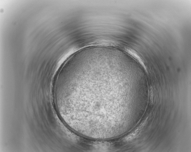 X0000086981091200704231813