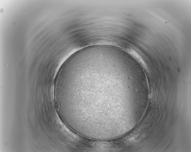 X0000086981092200704231813