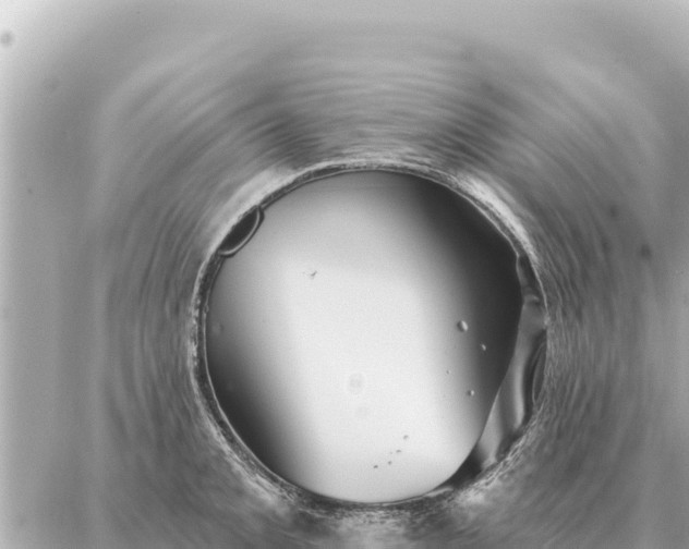 X0000086981093200704231813