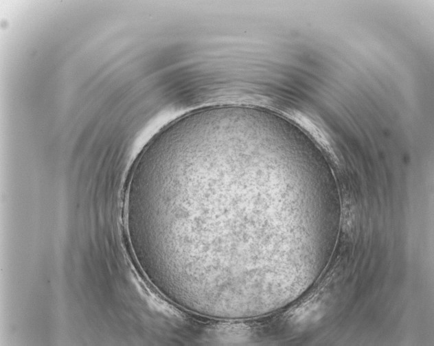 X0000086981094200704231813