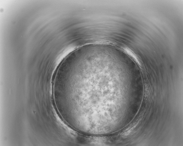 X0000086981095200704231813