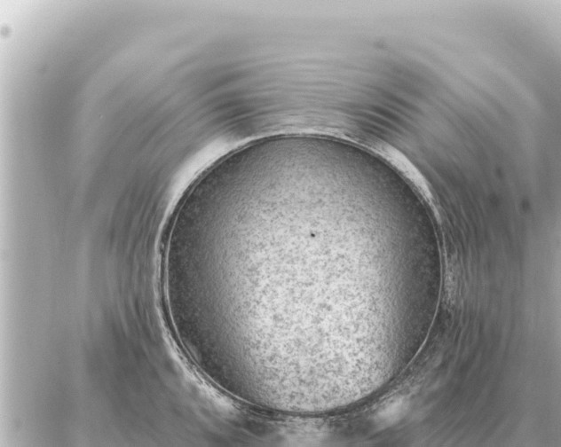 X0000086981096200704231813