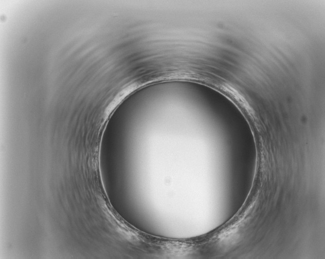 X0000086981097200704231813