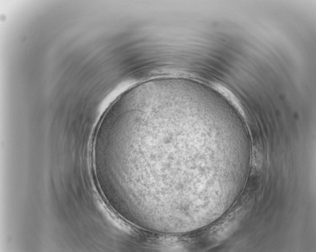 X0000086981098200704231813