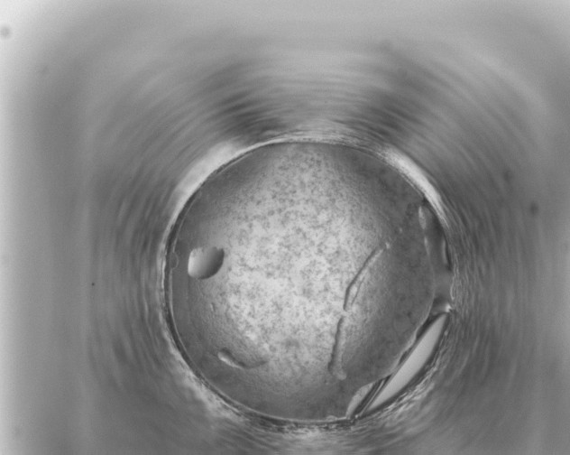 X0000086981099200704231813