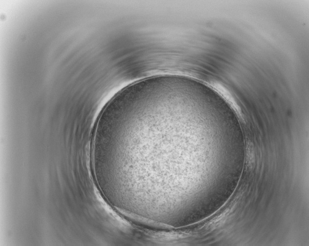 X0000086981100200704231813