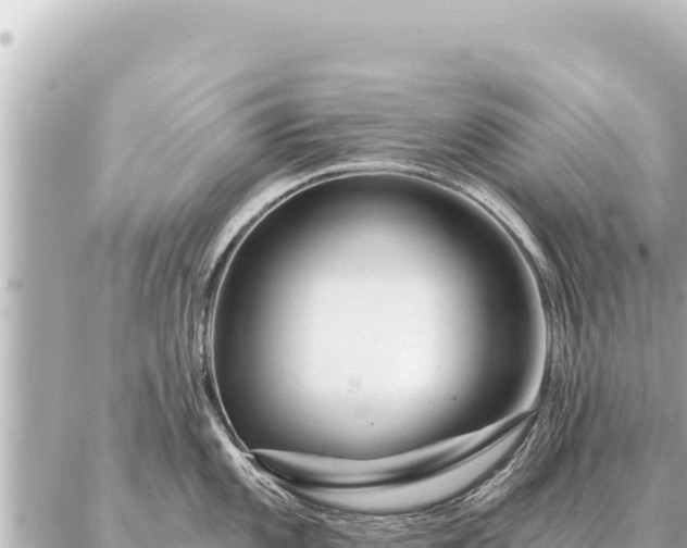 X0000086981101200704231813