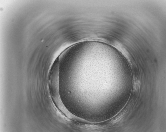 X0000086981102200704231813