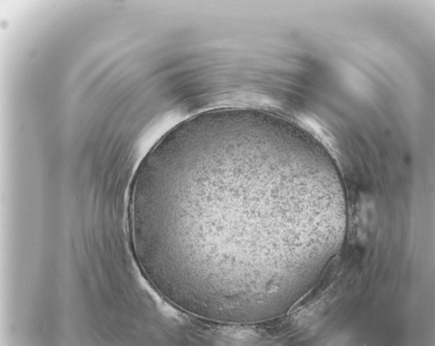 X0000086981103200704231813