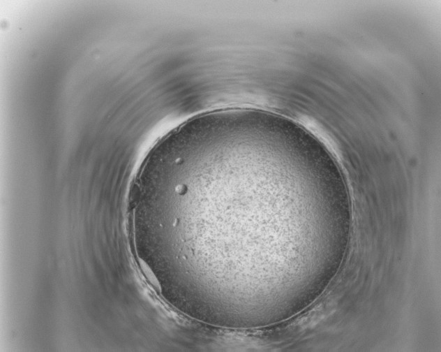 X0000086981104200704231813