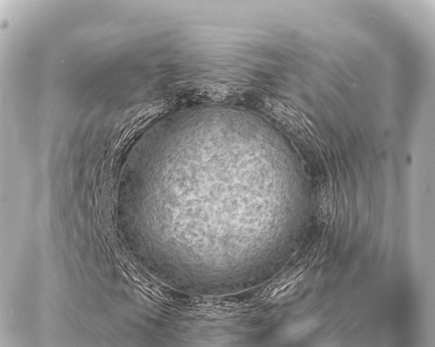 X0000086981105200704231812