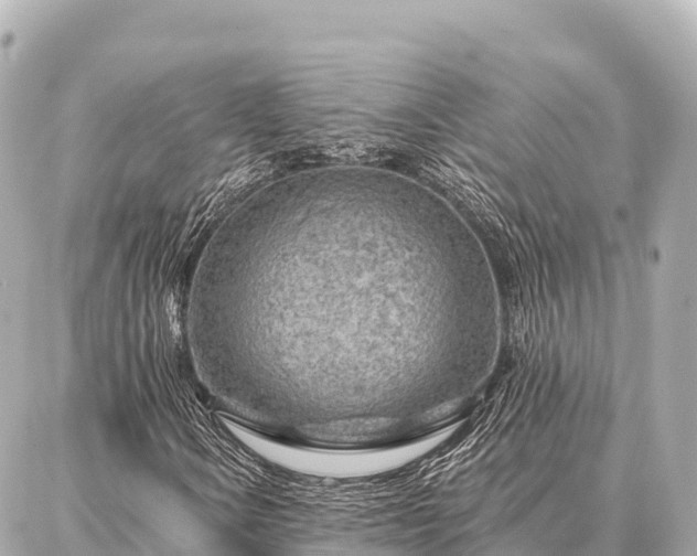 X0000086981106200704231812