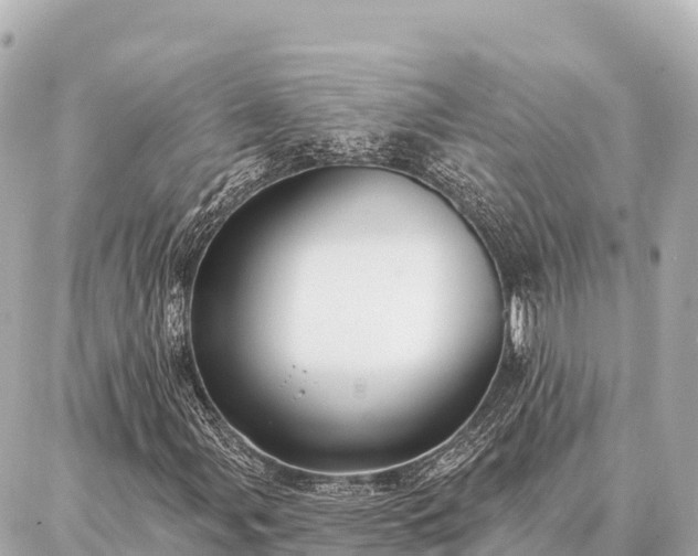 X0000086981107200704231812