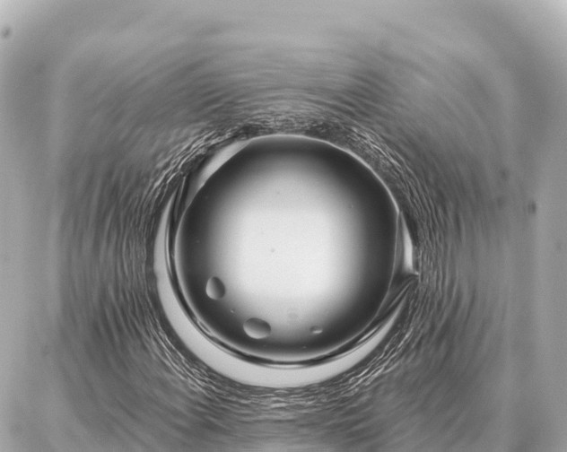 X0000086981108200704231812