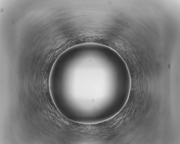 X0000086981109200704231812