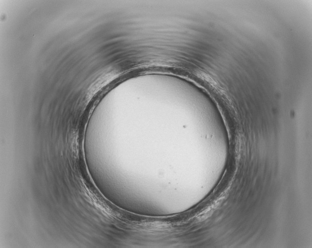 X0000086981113200704231812